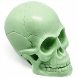 Small skull mold