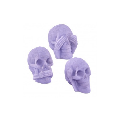 Mold 3 wise skulls