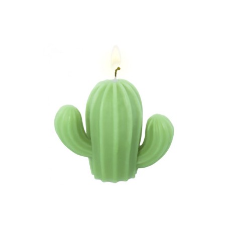 Desert cactus mold