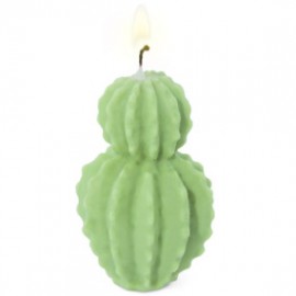 Cereus cactus mold