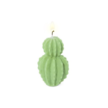 Cereus cactus mold