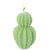 Cereus cactus mold