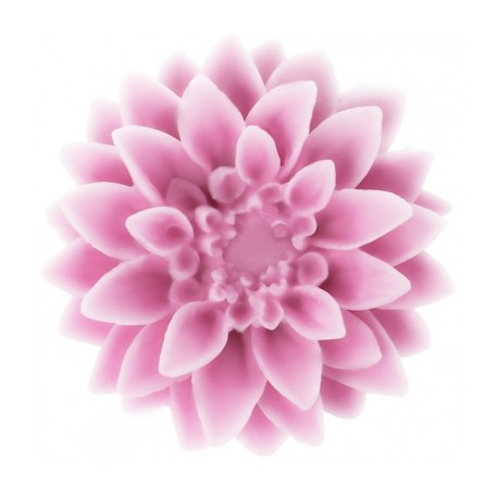 Dahlia flower mold