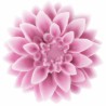 Dahlia flower mold