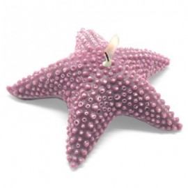 Large fluffy Starfish candle mold