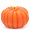 Autumn Pumpkin Candle Mold