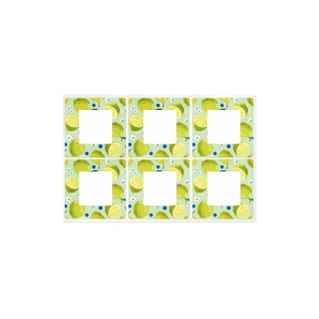 Square citrus stickers